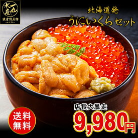【4個で6,000円OFF】【3個で4,000円OFF】【2個で2,000円OFF】クーポンあり！北海道発 塩水ウニ80g×イクラ200g 4杯分セット エゾバフンウニ うに 雲丹 塩水うに バフンウニ いくら 刺身 海鮮丼 御祝 内祝 誕生日 贈り物 プレゼント 北海道グルメ お歳暮 御歳暮 送料無料