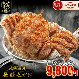 クーポン券で10,980円⇒送料無料9,800円！さらに【3個で5,400円OFF】【2個で3,000円OFF】クーポンあり！ 北海道根室産 毛ガニ 400g前後2尾 毛がに 毛蟹 けがに カニ かに 蟹 kani 北海道産 北海道グルメ セット 海鮮 贈答用 御祝 ギフト 御歳暮 送料無料