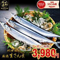 【2026年新物！】1kg詰め120g前後8尾入 店長大暴走の20％OFFクーポン発行中！ 北海道根室産 厳選生さんま…