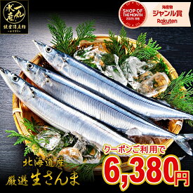【2026年新物！】 2kg詰め130g前後13～15尾 店長大暴走の20％OFFクーポン発行中！ 北海道根室産 厳選生さんま さんま サンマ 秋刀魚 生サンマ 魚 さんま丼 刺身 焼き魚 海鮮丼 北海道産 北海道グルメ お中元 御中元 贈答用 御祝 プレゼント ギフト 記念日