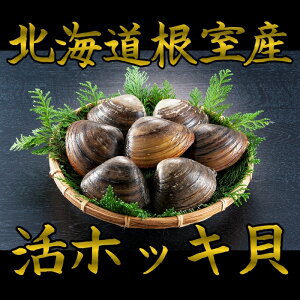 北寄貝 貝の人気商品 通販 価格比較 価格 Com