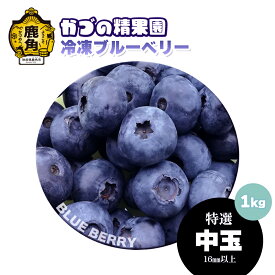 【特選】完熟冷凍ブルーベリー[中玉]約1kg【農薬不使用】