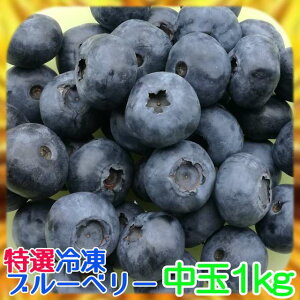 国産 ブルーベリー 冷凍の人気商品 通販 価格比較 価格 Com