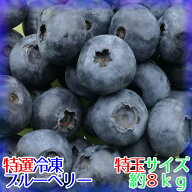 【送料込】【特選】完熟冷凍ブルーベリー[特玉]約8kg【農薬不使用】※化粧箱なし※