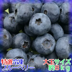 yzyIznⓀu[x[[]8kgy_sgpzϔȂ