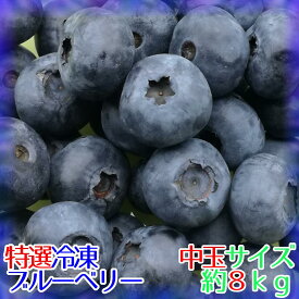 【送料込】【特選】完熟冷凍ブルーベリー[中玉]約8kg【農薬不使用】※化粧箱なし※