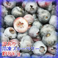 【送料込】訳あり冷凍ブルーベリー約8kg※化粧箱なし※