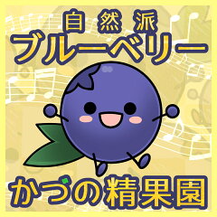 かづの精果園　自然派ブルーベリー