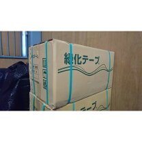 楽天市場】幹巻きテープ15cmの通販