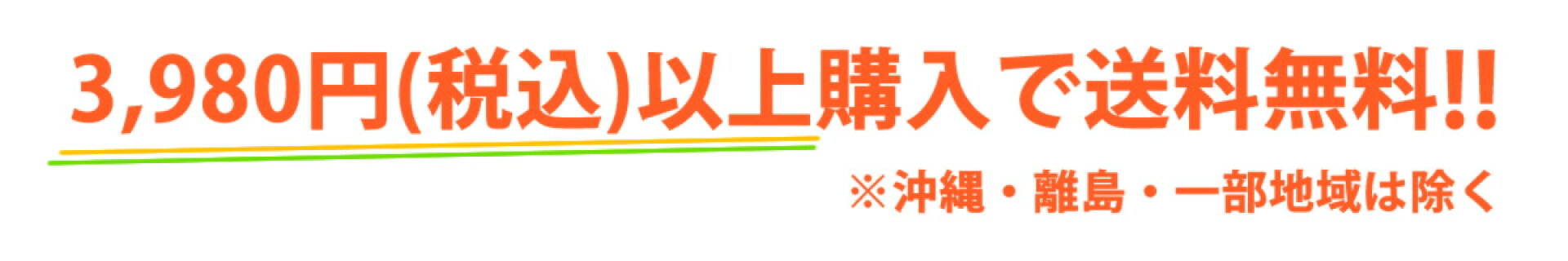 送料無料