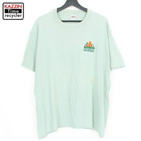 90s USA製 Anvil 半袖Tシャツ 古着 ★ 表記XLサイズ ビッグサイズ オーバーサイズ ライトグリーン