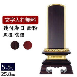 y|Cg5{+N[|zyʔv  z ؈ʔv @tt (dグ) (hEh) 5.5 (ʔv  ) y5Nۏ؁z[ ͂ {ʔv  A l\ dp d 