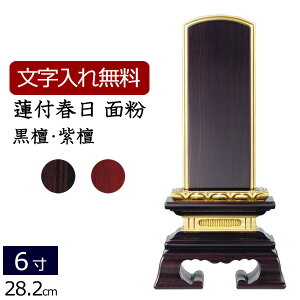 y}\P5{+N[|z yʔv  z ؈ʔv @tt (dグ) (hEh) 6.0 (ʔv  ) y5Nۏ؁z[ ͂ {ʔv  A l\ dp d 