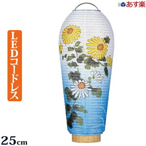 [Si|CgAbv!] ~ ~j led R[hXw  ZeyLEDdrtR[hXzxyŋzz~ V~ ~傤 ~ ~jTCY ~j   ( ~ U 