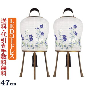 ySi|CgAbv!z~ R[hX _wyΓz_ ؂ 傤ijyLEDdrt R[hX^Cvzx CeA  ~ ~ V~ 