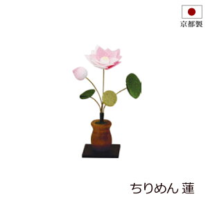 ~pi ~ w ߂@ x @ RpNg 茳{ ~{  u ~ V~ ~ ~ ߂ 킢   V~ ~   ~pi 