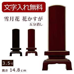 [12/111%OFFN[|]yʔv  z _ʔv ጎ Ԃ ܕihEhj 3.5 (ʔv ) y5Nۏ؁z (_ {ʔv ʔv @v _ ʕ ʔv 