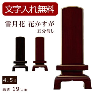 [12/111%OFFN[|]yʔv  z _ʔv ጎ Ԃ ܕihEhj 4.5 (ʔv ) y5Nۏ؁z (_ {ʔv ʔv @v _ ʕ ʔv 