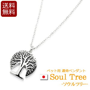 ⍜y_g w\Ec[x { Y ( 茳{ ⍜ y_g lbNX ANZT[ A WG[ XeX ybg JvZ h   ~j )