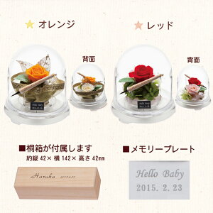 fairyflowerお花のカプセル