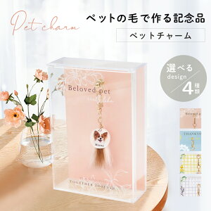 yZ[10OFFN[||Cg5{zԗDǃVbvܓXybg`[ ybg  ybg̖ M  ʐ^ bZ[W тō M  L A LO ┯ 