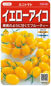 実咲野菜 イエローアイコ ミニトマト