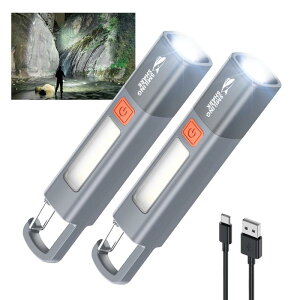 SmilingShark dCyŐVEPxLEDnfBCgz̓nhCg