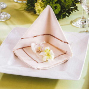 e[uivL AC{[ 50×50cm S[hC { Vv  g[V i`  S[h `}bg z ~z ٓ  Xg e[u