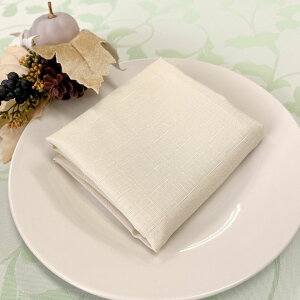 【5枚セット・送料無料】テーブルナプキン ブラウン アイボリー シンプル おしゃれ 47×47cm 結婚式 パーティー イベント トーション おもてなし テーブルコーディネート 風呂敷 敷布 ランチ