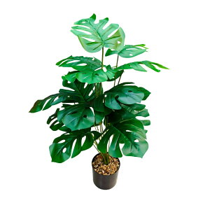  Xe tFCNO[ lHϗtA CeAO[   sv  JXj Vzj Mtg  ItBXp