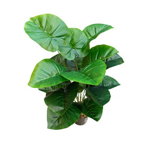  Xe tFCNO[ lHϗtA CeAO[   sv  JXj Vzj Mtg  ItBXp