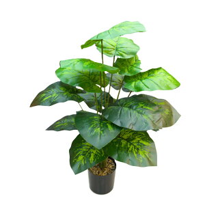  Xe tFCNO[ lHϗtA CeAO[   sv  JXj Vzj Mtg  ItBXp