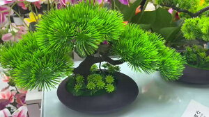   lH~ tFCNO[ aCeA N sv  JXj Vzj Mtg  ̊  