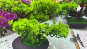   lH~ tFCNO[ aCeA N sv  JXj Vzj Mtg  ̊  