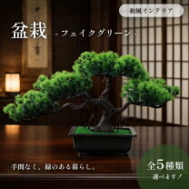 楽天市場】松の木の通販
