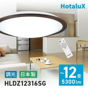 �z�^���N�X LED�V�[�����O���C�g[�ؘg�_�[�N�I�[�N�F�f�U�C��]�y5300lm/�`12��/����/���炬���[�h/�z�^���b�N/���{��/�����R���t���z HLDZ12316SG