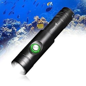 Odepro WD12 IPX8 Max 1050[ _CrOCg Cg vdlPx d IP68h 100[ggp\