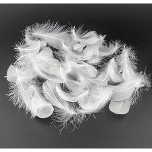 Kingsie VR H 100Zbg tFU[V[ HV[ |f  EGfBO o (zCg)