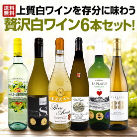 白ワイン セット ワインセット 白 ワイン ギフト 箱 京橋ワイン 京橋わいん 特選 6本 お歳暮 上質 飲み比べ 贅沢 送料無料 第76弾 当店≪極≫ 厳選 イタリア 白ワイン好きならこのセット 旨みがギュっと凝縮した白ワインだけ 華やかでボディがしっかりしたホワイト6本 辛口