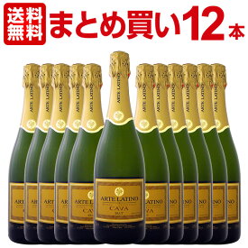カバ 【送料無料】【まとめ買い】アルテラティーノ・カヴァ・ブリュット ワインセット 12本! 当店大人気 No.1 激旨スパーク スパークリング スパークリングワイン CAVA カヴァ 白スパークリング 辛口 スペイン産 アルテラティーノ セット ワイン セット まとめ買い 送料無料