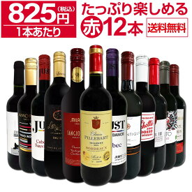 赤ワイン セット 送料無料 第62弾 1本あたり825円(税込) 採算度外視 の大感謝 厳選 赤ワイン 12本セット ワイン ワインセット 赤ワインセット 赤 飲み比べ ギフト プレゼント 750ml 12本 wine