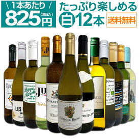 【送料無料】第73弾！1本あたり825円(税込)!!採算度外視の大感謝!厳選白ワイン12本セット