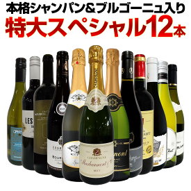 【送料無料】第46弾！本格シャンパン＆ブルゴーニュ入り！特大スペシャル12本セット！ ワイン ワインセット セット 赤ワインセット 赤ワイン 白ワインセット 白ワイン スパークリングワインセット 飲み比べ ギフト プレゼント 辛口 750ml