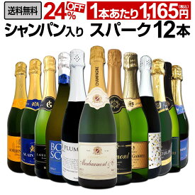 【送料無料】第48弾シャンパン入り！辛口スパークリングワイン12本セット！