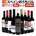 【送料無料】おうちタパスにピッタリ！スペイン各地の赤飲み比べ！おうちバル赤ワイン9本セット！