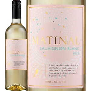 }eBiE\[BjEuiŐVBe[Wł͂ƂȂ܂jy`zyCzy750mlzy~fBA{fBzyhz