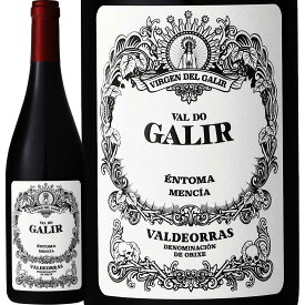 バル・ド・ガリル・メンシア　2022スペイン 赤ワイン 750ml フルボディ ガリシア バルデオラス メンシーア グリーン・スペイン 冷涼 クネ CVNE 老舗 フレンチオーク樽 9ヵ月熟成 パーカー91＋点