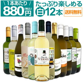 【送料無料】第87弾！1本あたり880円(税込)!!採算度外視の大感謝!厳選白ワイン12本セット