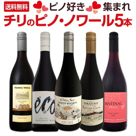 【送料無料】ピノ好き集まれ!品質向上目覚しいチリ・ピノ5本! コノスル含む赤ワインセット ワイン5本セット チリ産ピノ ピノ・ノワール デイリーワイン 飲み比べ 家飲み デート ギフト 贈り物 お買い得 まとめ買い 輸入ワイン 新世界ワイン