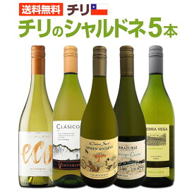 【送料無料】デイリー・シャルドネの決定版!向上目覚しいチリのシャルドネ5本セット! コノスル中心のチリ産シャルドネ5本セット(2024新シリーズ) デイリーワイン 白ワイン好きに常備したい 新世界の豊かな果実味 お買い得 家飲み 食事に合う 白ワインセット